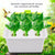 6 Holes 110V Plant Site Hydroponic System Indoor Garden Cabinet Box Grow Kit Bubble Garden Pots Planters Nursery Pots