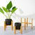 Durable Wood Planter Pot Trays Flower Pot Rack Strong Free Standing Bonsai Holder Home Garden Indoor Display Plant Stand Shelf