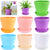 Colourful Mini Plastic Flower Pot Succulent Plant Flowerpot Home Office planter macetas para plantas garden bonsai bloempot