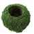 Japanese Moss Ball Creative DIY Gardening Potted Plants Home Micro-landscape Personality Flower Pot planter Home & Garden