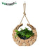 Home Garden Decorative Planters Large Flower Pot Hanging Pots for Plants Wall Mounted Planter Succulent Garden Wooden Flower Box