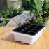 10 sets 12 holes Nursery Pots Seedling Tray with lid  Seed Starter  Nutrition Bowl for Succulent Planter Flower Garden tool