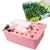 24 Holes Hydroponic Kit with Oxygen Pump Indoor Garden Cabinet Box Bubble Nursery Pots Cultivation Box 220V/110V 1 Set