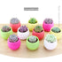 New Colorful Flower Pots Planters Mini Plastic Flowerpot Succulent Plant Pots Flowerpot For Home Office Decoration Modern Decor