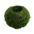 Japanese Moss Ball Creative DIY Gardening Potted Plants Home Micro-landscape Personality Flower Pot planter Home & Garden
